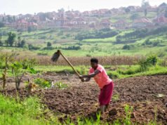 Ruanda intenta proteger las tierras agrícolas en el país más densamente poblado de África