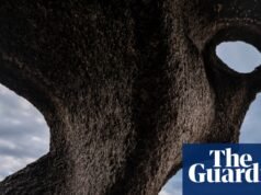 “Quiero que la gente vea la naturaleza como una maravillosa obra de arte”: la mejor foto tomada por Jon McCormack | Fotografía