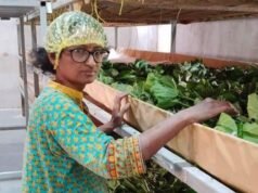 De científico a productor de seda: el resurgimiento de la industria de la seda en la India