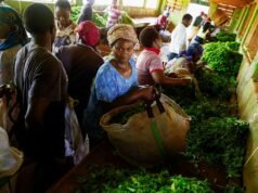 Las interrupciones del transporte marítimo global sacuden la economía de Kenia