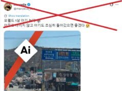 Imagen viral de un lobo huyendo en Corea del Sur generada por IA