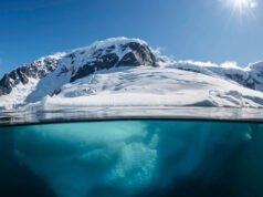 Aguas termales a 300 grados escondidas bajo el helado mar antártico