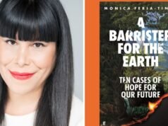 Un drama legal de undécima hora inspirado en ‘Un abogado para la Tierra’