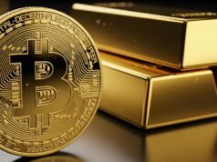 Compara diferentes caminos hacia la protección del patrimonio