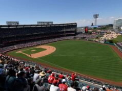 Un perro toca a una persona en el hombro durante un partido de béisbol para pedirle comida