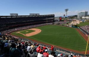 Un perro toca a una persona en el hombro durante un partido de béisbol para pedirle comida