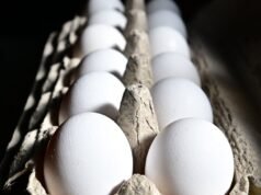 Por qué los expertos dicen que la tendencia viral de los huevos congelados en TikTok es peligrosa