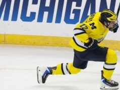 Ver Frozen 4 en línea