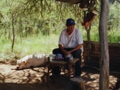 Luxbox se embarca en Cannes con el título “Doble libertad” de Lisandro Alonso