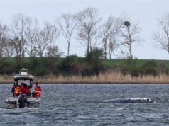 Continúan los esfuerzos para salvar a una ballena varada frente a la costa báltica alemana