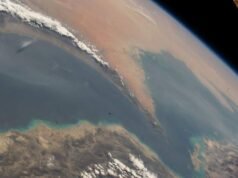 El tráfico marítimo en el Estrecho de Ormuz está casi paralizado, según la ONU