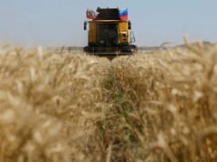 Ucrania pide a Israel que se apodere del barco que transportaba cereales ‘robados’ por Rusia