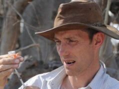 Un experto en vida silvestre y un piloto mueren en un accidente aéreo en el desierto