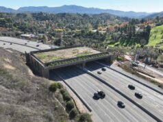 El ‘Puente Mariposa’ de Gavin Newsom necesita una auditoría