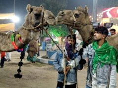 Las autoridades desmantelan una operación de contrabando de licor de camello y confiscan casi 2.000 contenedores de alcohol ilegal