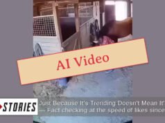 Vídeo falso de un caballo protegiendo a su dueño tras el terremoto de Japón generado por IA