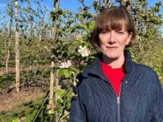 “Incluso si la guerra en Irán termina ahora, los costes que soportan los agricultores tendrán que repercutirse”