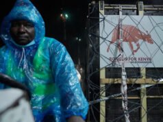 Antílopes en peligro crítico regresan a Kenia desde el zoológico checo