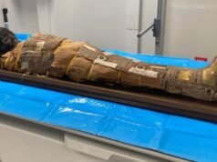 Las tomografías computarizadas revelan la edad y autenticidad de la momia de un niño conservada en un museo polaco durante más de un siglo