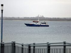 No más intentos de liberar a una ballena varada en Alemania, dicen las autoridades