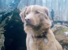 3 grandes películas de terror para ver en Hulu y más en abril de 2026