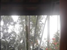 Cómo sobrevivimos al monzón de Bali sin perder la vibra