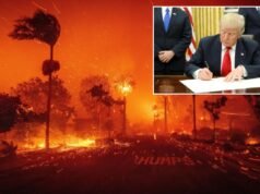 Gracias, señor presidente, por darle esperanza a Los Ángeles.