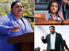 La peor idea del Ayuntamiento de Los Ángeles hasta el momento