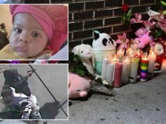 Estrangule a las pandillas que asolan la vivienda pública de NYCHA: envíe a los papás