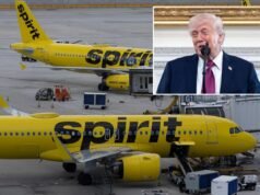 Spirit Airlines se salvará después de que Trump insta a alguien a comprar una aerolínea en quiebra