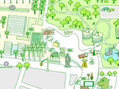 Mapa de las galerías David Geffen de LACMA: The Café, Wine Bar, Koons Art