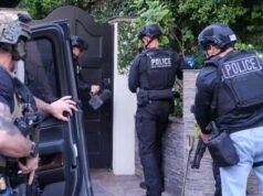 Surgen nuevos detalles sobre el arresto del cantante D4vd por el asesinato de una adolescente