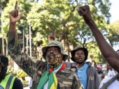Sudáfrica condena los ‘vídeos falsos’ de presuntos ataques xenófobos