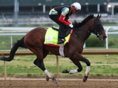 Derby de Kentucky: Fulleffort, Silent Tactic eliminado del campo, dando paso a Ocelli y Great White