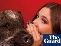 La mascota que nunca olvidaré: Merlín, el cerdo atrevido, que me ayudó a conocer a mi marido | Mascotas