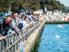 La RSPCA pide la prohibición del cangrejo porque causa “dolor y estrés”, pero la petición de la organización benéfica de bienestar animal es calificada de “absolutamente ridícula”
