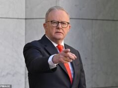 Una nueva encuesta trae buenas noticias para Anthony Albanese ya que los votantes recurren a él por TRES razones principales