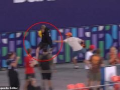 Mira el divertido momento en que un joven fanático de la AFL agarra el balón y sale corriendo del estadio