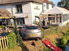 La propietaria de un pub pide que se instalen señales de advertencia en el peligroso cruce en forma de T después de que NUEVE vehículos se hundieran en el río o atravesaran la valla de su cervecería al aire libre.