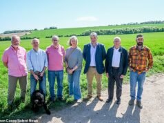 Los terratenientes ricos están furiosos por los planes del vizconde de construir una “aldea jardín” de 2.500 casas a sus puertas en la bonita campiña de Hampshire.