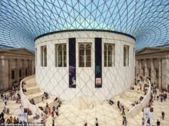 Por qué los museos de Londres cobrar la entrada a los turistas provocaría un desastre para los extranjeros que viven en el Reino Unido, dice el jefe del operador turístico