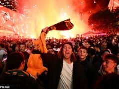 Fanáticos furiosos atacan al aguafiestas en Melbourne BAN, la querida tradición deportiva de Australia