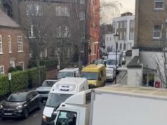 ‘Whole Foods ha convertido nuestra calle de Chelsea en una zona industrial’: los residentes adinerados dicen que un ‘ejército’ de camiones de reparto pesados está derribando muros, arrancando árboles y destruyendo aceras