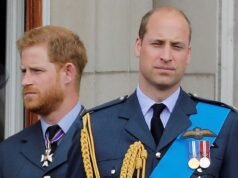 ¿Será el nuevo Sr. Buen Chico de King el hombre que cierre la brecha entre Wills y Harry?