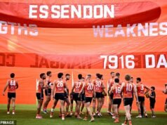 Vea el insulto brutal y MUY público que enfureció al entrenador de la AFL y provocó una guerra de palabras entre dos clubes.
