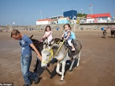 Los burros están prohibidos en la playa del balneario mientras el ayuntamiento cierra la puerta a una tradición centenaria