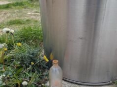 Paseador de perros recoge accidentalmente una bomba de la Segunda Guerra Mundial en una playa del Reino Unido después de confundirla con una “bonita botella”