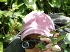 El espía de Southampton se burla en un nuevo y divertido video de Paddy Power por el escándalo de los play-offs