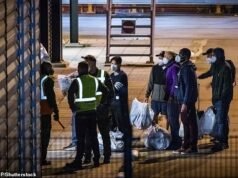 Los australianos rescatados de un crucero plagado de hantavirus deben usar EPP completo en el vuelo de regreso