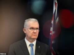 Tony Burke prohíbe la red neonazi en una importante ofensiva contra el extremismo de extrema derecha